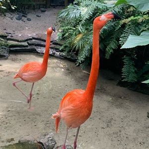 Meet your Posher, Lacey